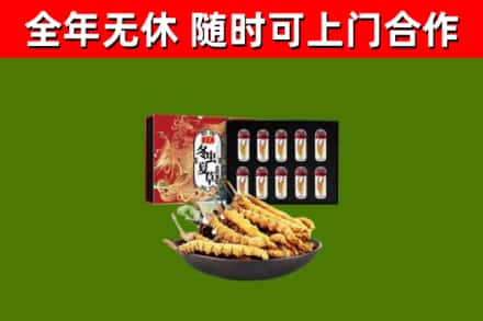 代市烟酒回收冬虫夏草礼盒.jpg
